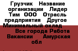 Грузчик › Название организации ­ Лидер Тим, ООО › Отрасль предприятия ­ Другое › Минимальный оклад ­ 15 800 - Все города Работа » Вакансии   . Амурская обл.